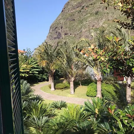 Palheirinho Da Camelia