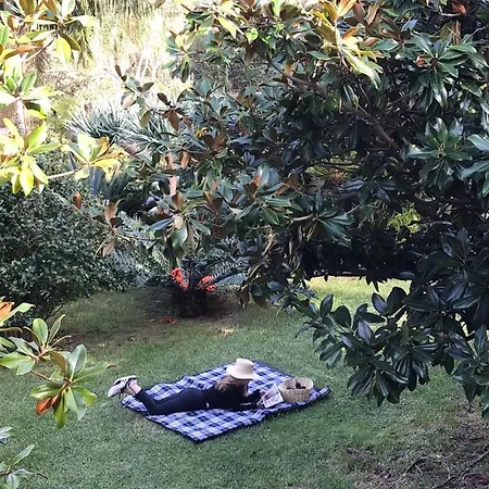 Palheirinho Da Camelia Chalé *