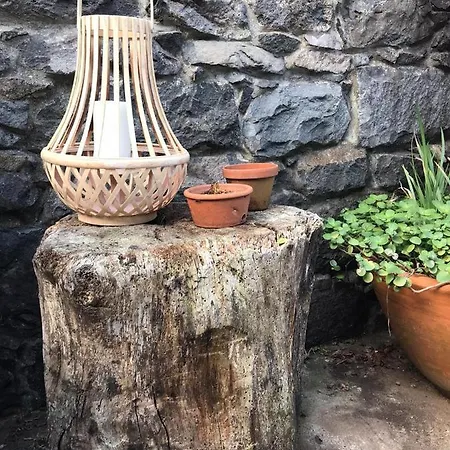 Chalé Palheirinho Da Camelia