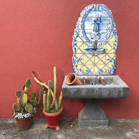 Palheirinho Da Camelia Chalet *