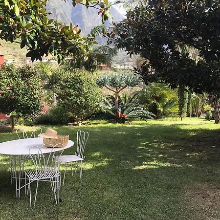 Palheirinho Da Camelia *