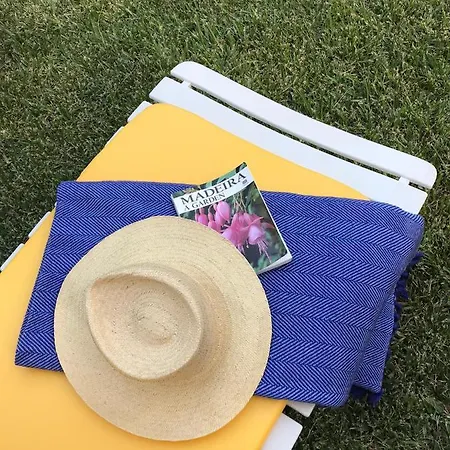 Palheirinho Da Camelia