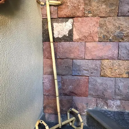 Chalet Palheirinho Da Camelia