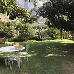 Palheirinho Da Camélia *