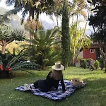 Palheirinho Da Camélia Chalet *
