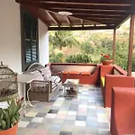 Palheirinho Da Camélia Chalet