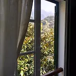 Palheirinho Da Camélia São Vicente