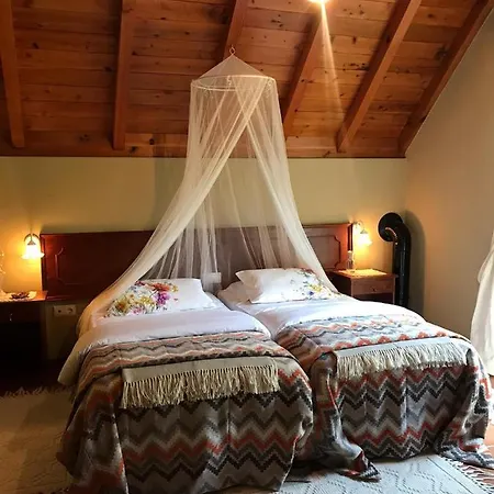 Palheirinho Da Camelia * São Vicente