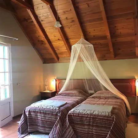 Palheirinho Da Camelia *