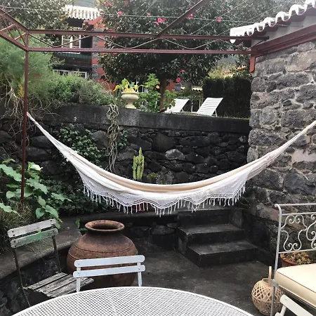 Palheirinho Da Camelia *