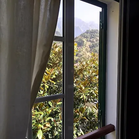 Palheirinhos Da Camelia Sao Vicente (Madeira)