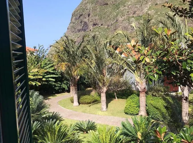 Palheirinho Da Camelia