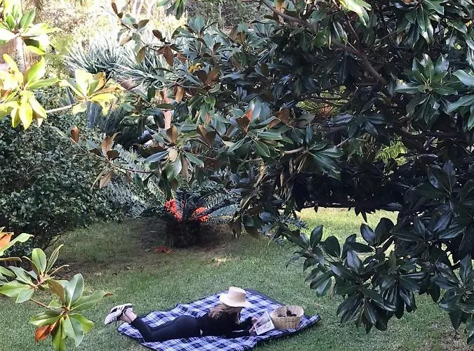 Palheirinho Da Camelia Horská chata *