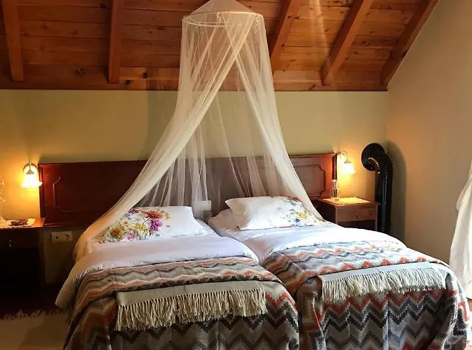 Palheirinho Da Camelia * São Vicente