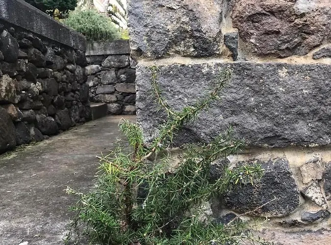 Horská chata Palheirinho Da Camelia São Vicente