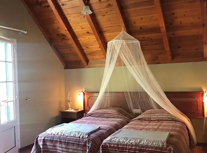 Palheirinho Da Camelia *